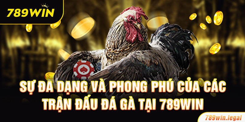 Sự đa dạng và phong phú của các trận đấu Đá Gà tại 789Win