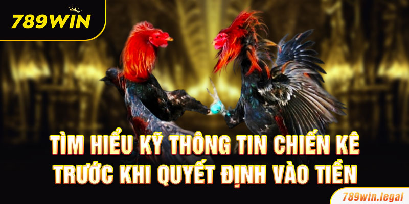 Tìm hiểu kỹ thông tin chiến kê trước khi quyết định vào tiền