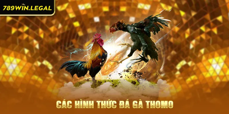 Các loại hình thức đá gà thomo