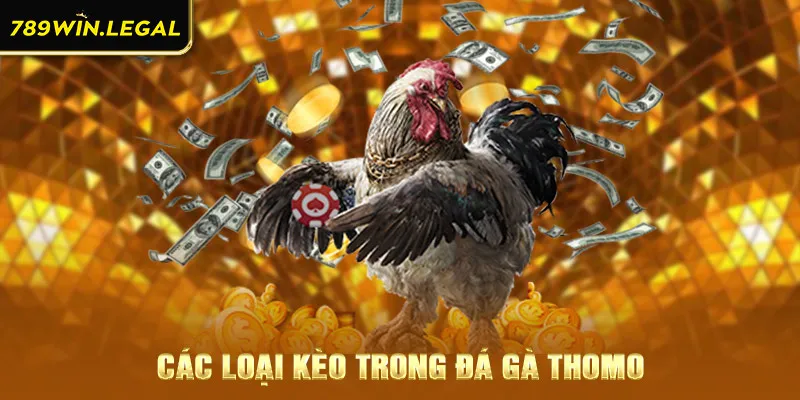 Các loại kèo trong đá gà thomo