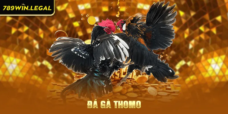 Đá gà thomo