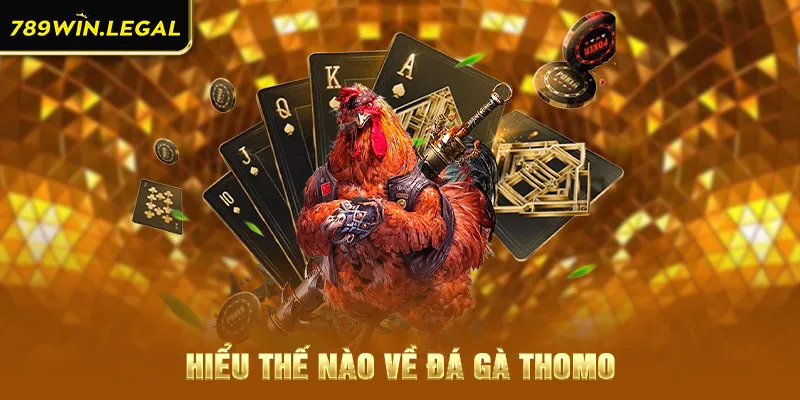 Hiểu thế nào về đá gà Thomo