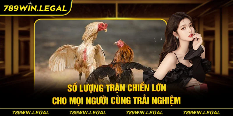 Số lượng trận chiến lớn cho mọi người cùng trải nghiệm