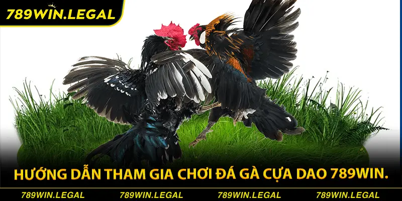 Hướng dẫn tham gia chơi đá gà cựa dao 789Win.