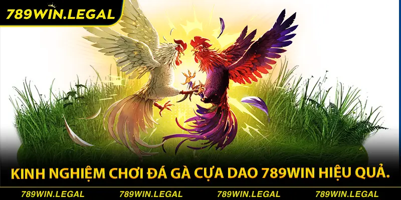 Kinh nghiệm chơi đá gà cựa dao 789Win hiệu quả.