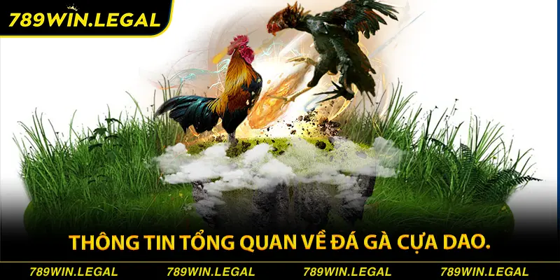 Thông tin tổng quan về đá gà cựa dao.