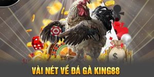 Nhiều lý do để trải nghiệm sân chơi đá gà King88